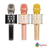 Wireless Microphone Hifi Speaker