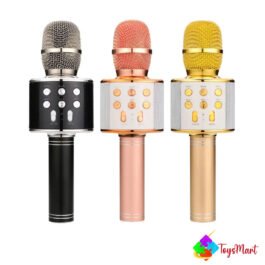 Wireless Microphone Hifi Speaker