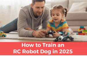 Read more about the article How to Train an RC Robot Dog in 2025